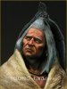 Young Miniatures YH1821 Blackfoot Raven Bearer 1/10